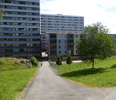 Vadmyra on Bergenin suurimpiin kuuluva asumisoikeusasuntoyhtiö, jossa on 551 asuntoa neljässä korkeassa kerrostalossa ja kuudessa matalassa rakennuksessa.